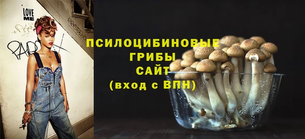 синтетический гашиш Гусиноозёрск