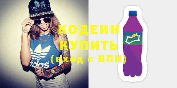 хмурый Гусев