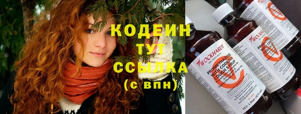 хмурый Гусев