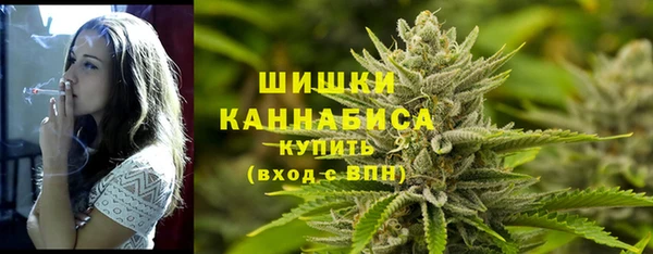 хмурый Гусев